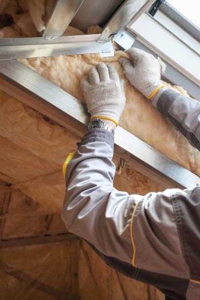 Best Insulation Maintenance and Repair in Sesser, IL