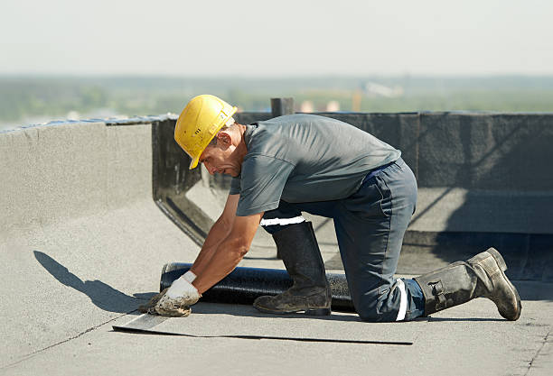 Best Commercial Insulation in Sesser, IL