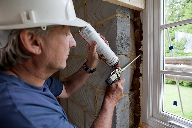 Best Eco-Friendly Insulation in Sesser, IL