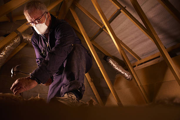 Best Commercial Insulation in Sesser, IL